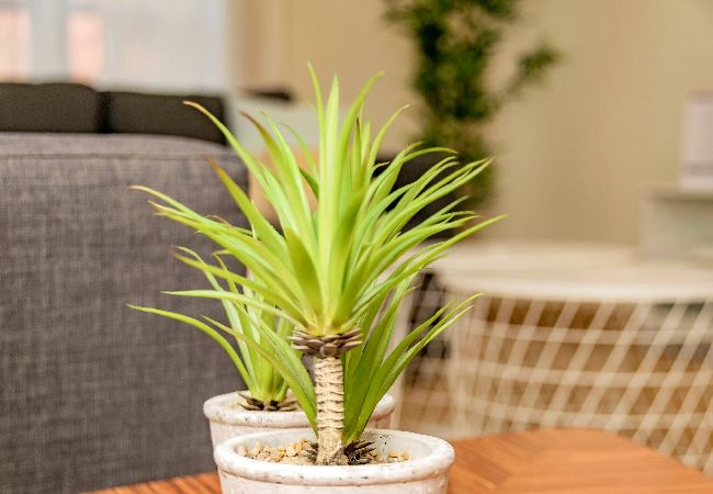 Apartment in Madrid - Deluxe Apartment Velazquez Suites II Apartment in Madrid - Deluxe Apartment Velazquez Suites II